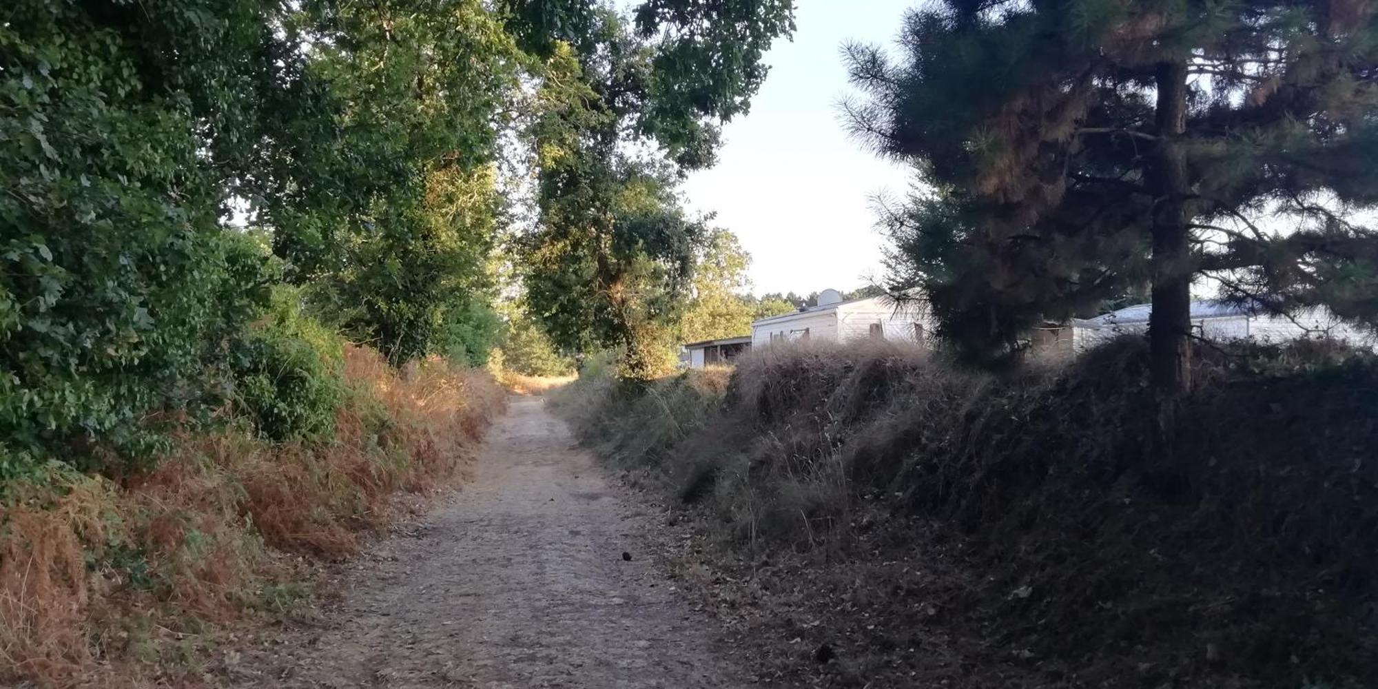 Camping Des Pierres Debout Névez Exteriör bild