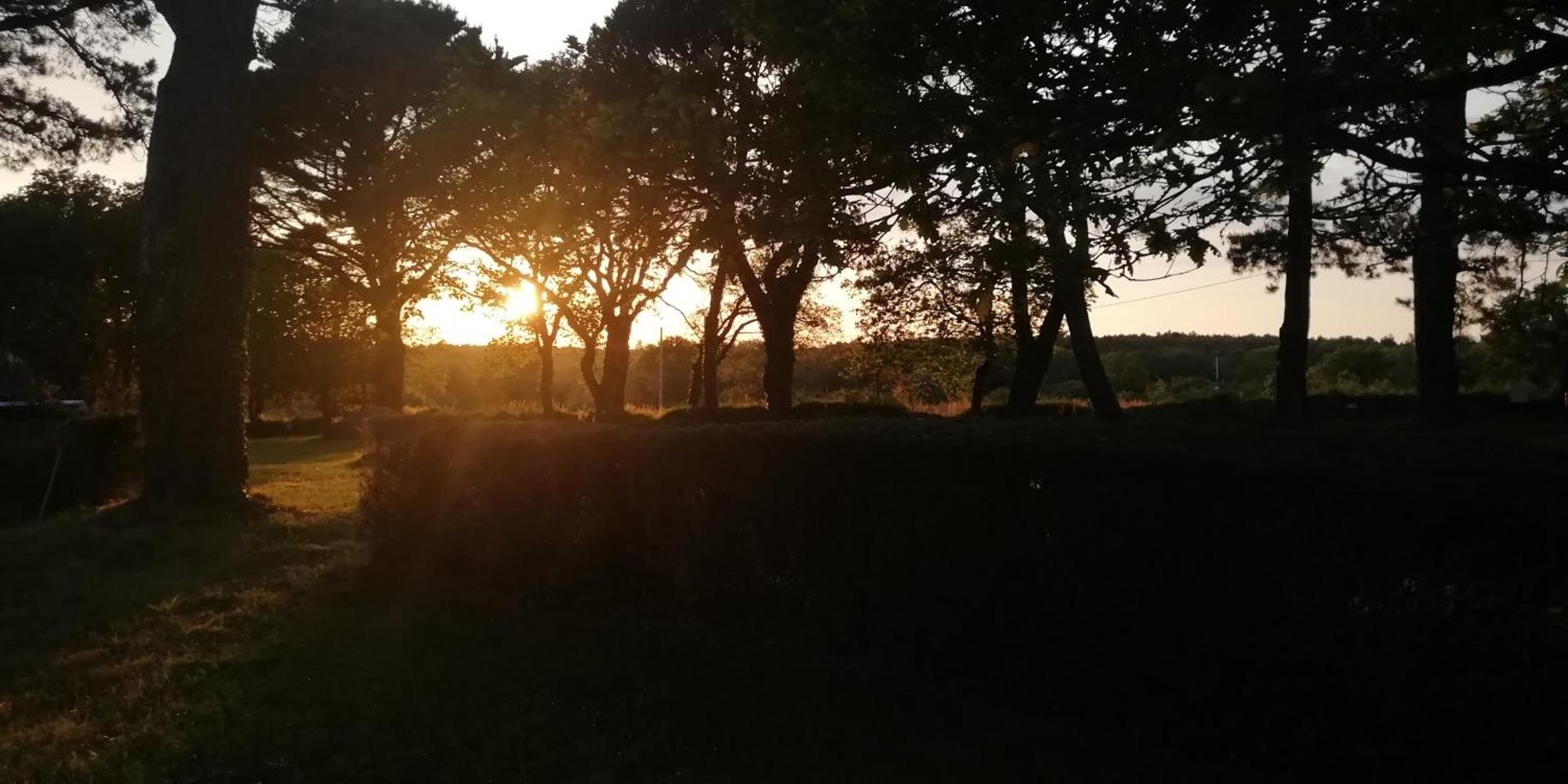 Camping Des Pierres Debout Névez Exteriör bild
